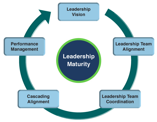 MBO Consulting Store